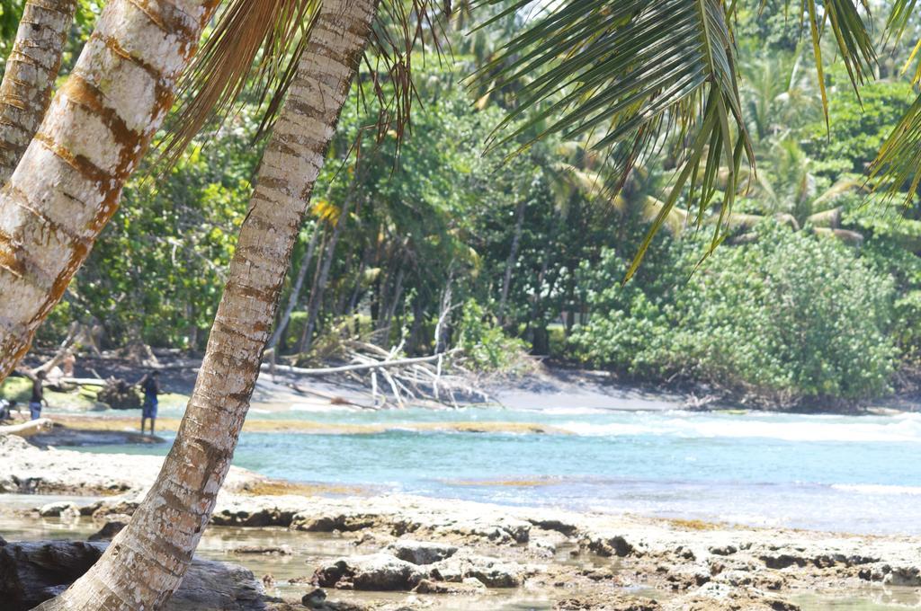 La Magia Bungalows Puerto Viejo de Talamanca Kültér fotó